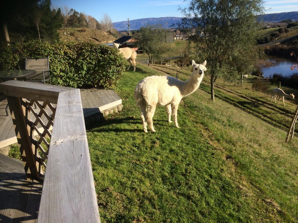 Hunters Moon Villa Mosgiel Exterior photo